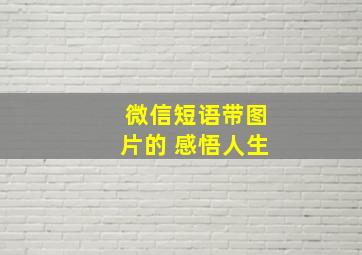 微信短语带图片的 感悟人生